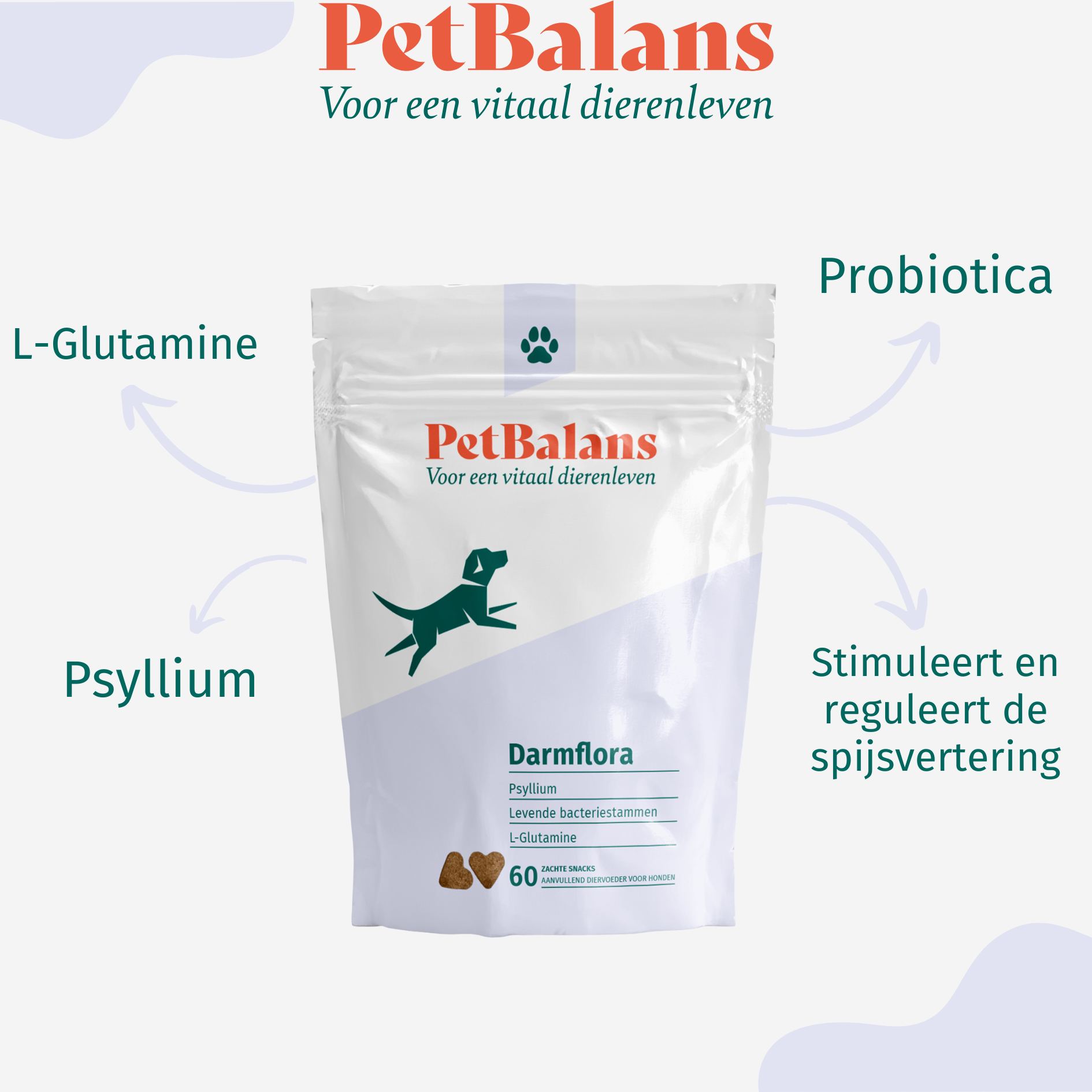 Hond - Darmflora - 60 Snoepjes