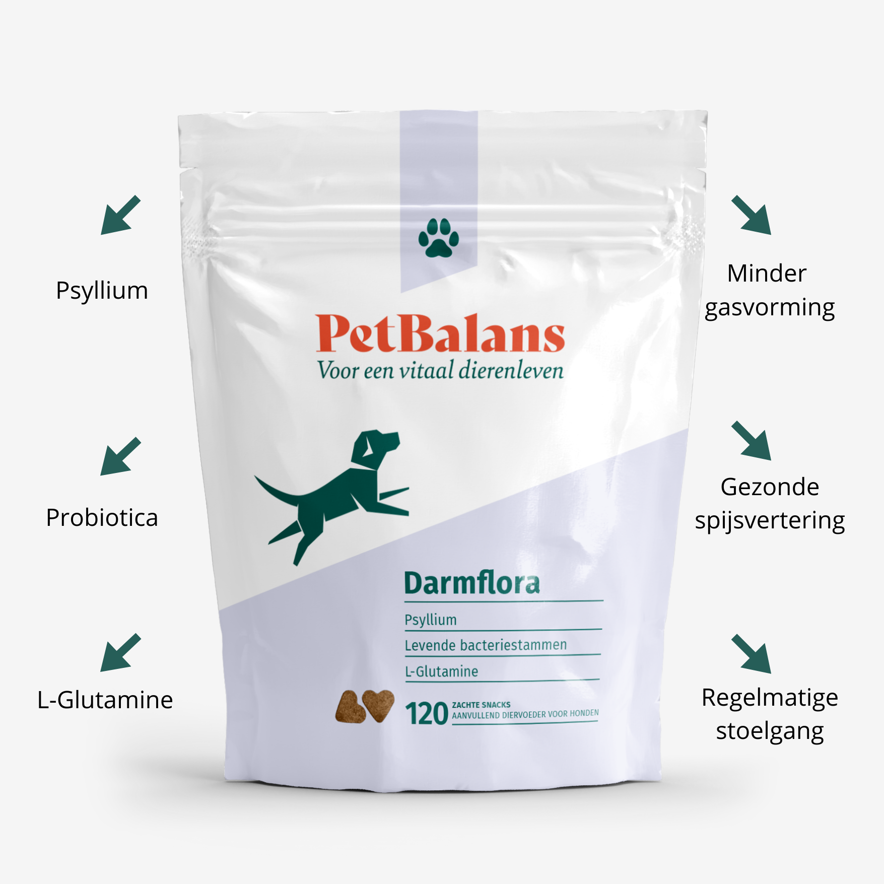 Hond - Darmflora - 120 Snoepjes