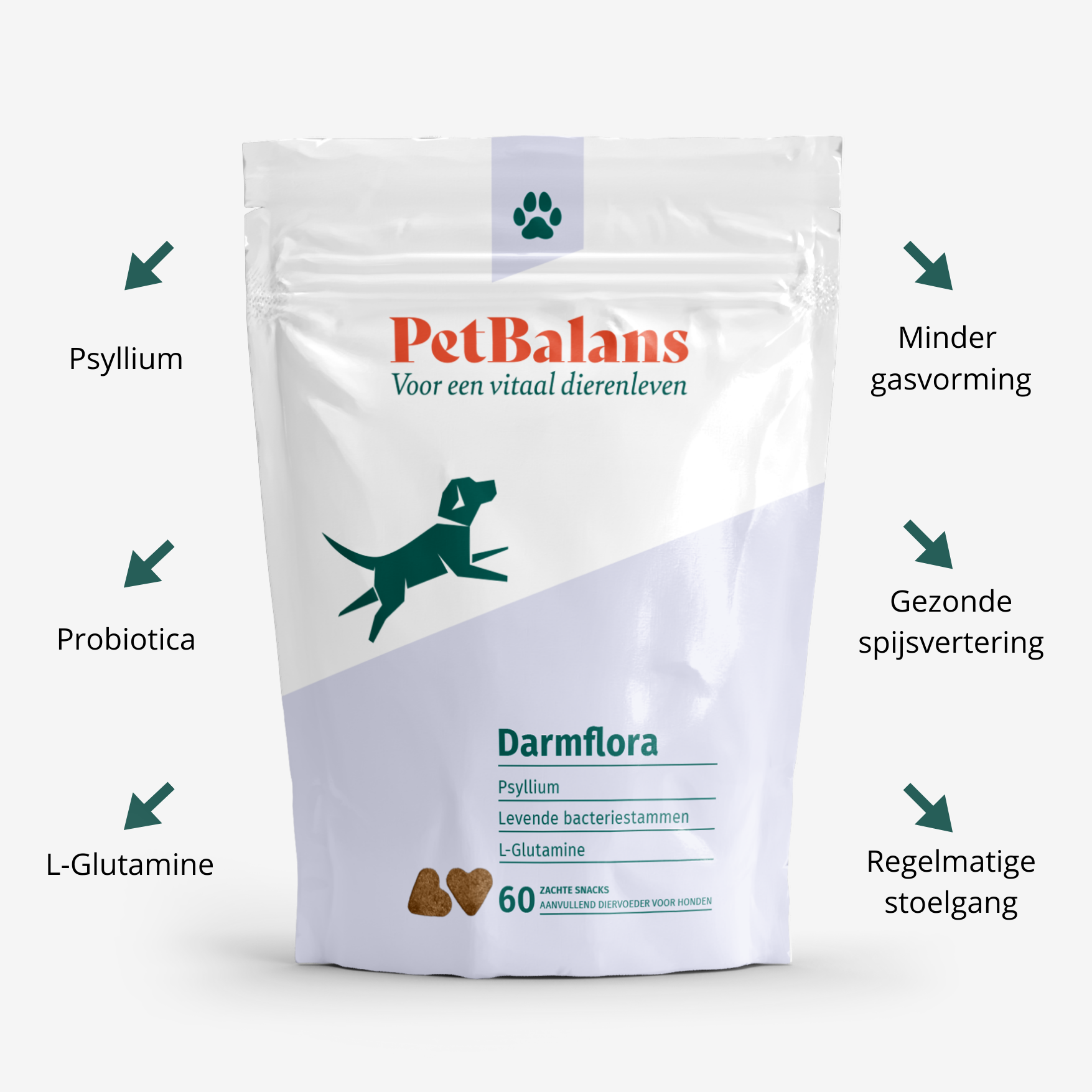 Hond - Darmflora - 60 Snoepjes